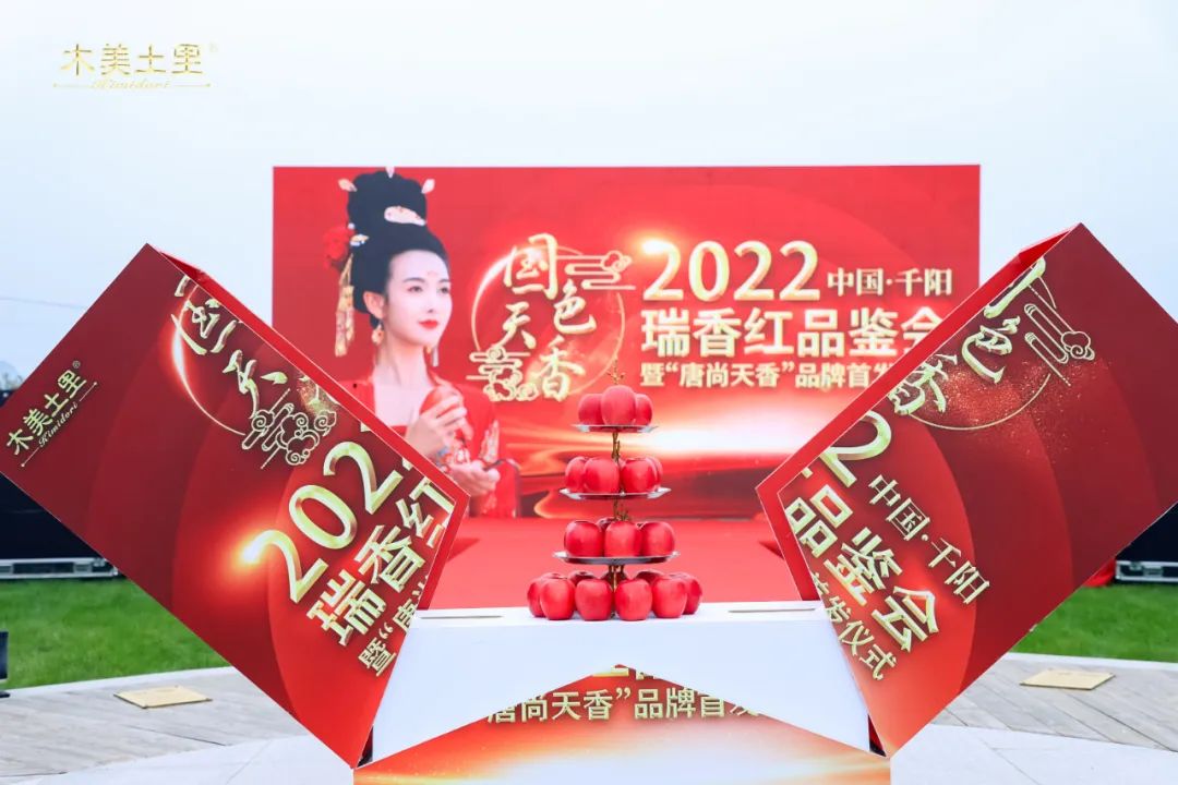 公司动态1